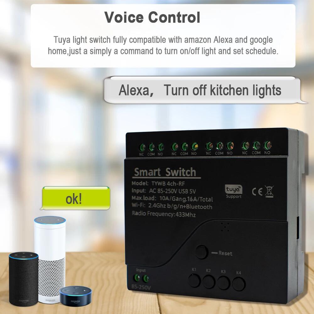 Tuya AC 85-250V 4 ช่อง WiFi Sm - Sonoff Mini R4 บทวิจารณ์และราคา